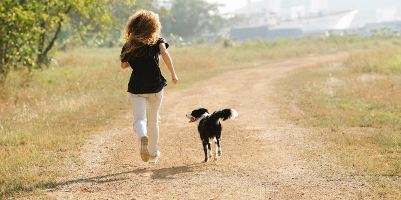 dog running alongside owner whilst being trained