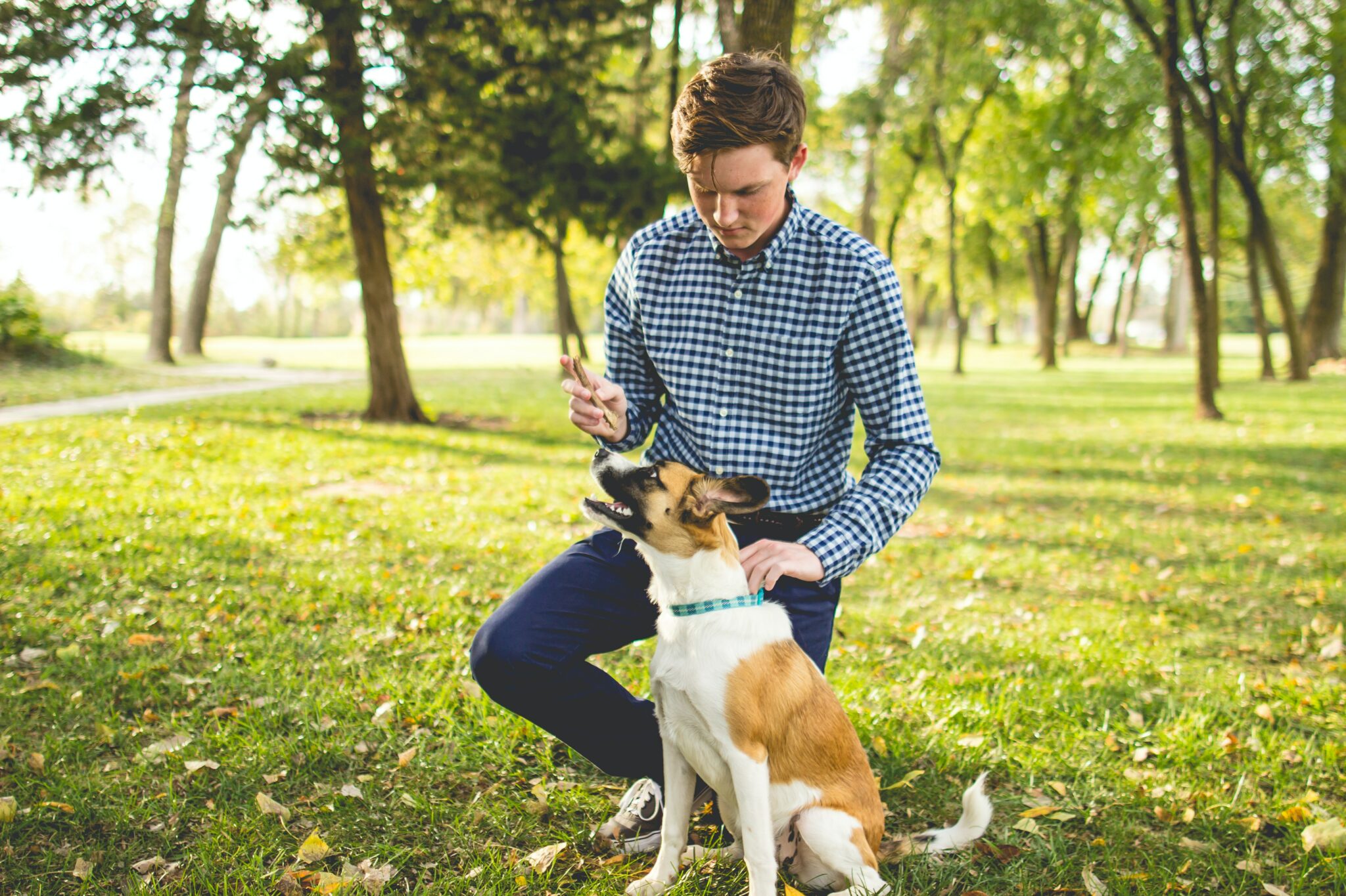 owner kneeling down to give dog a treat