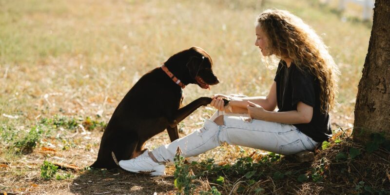 woman bonding with a dog under a tree